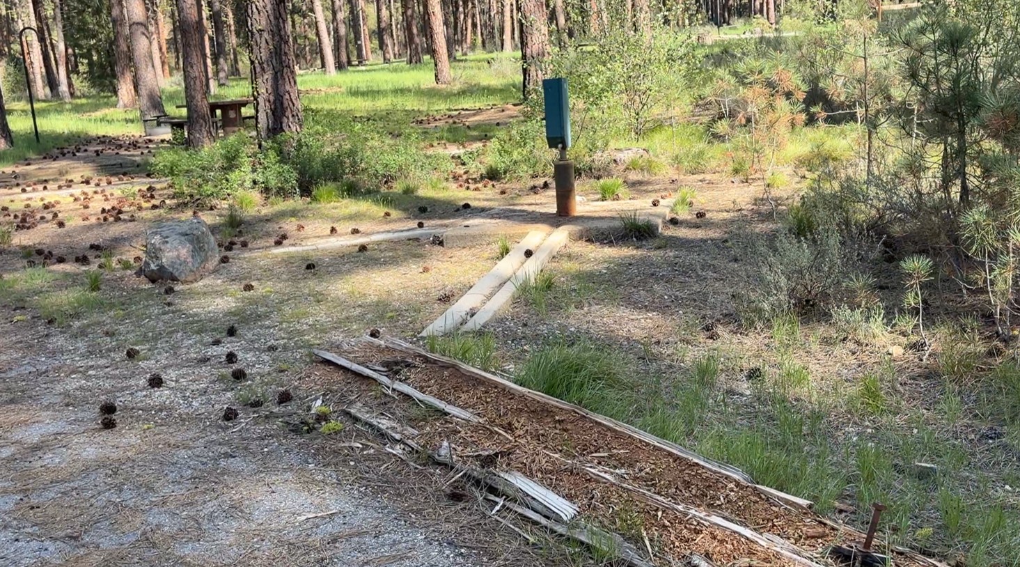 Grayback Gulch Campground - Facilities